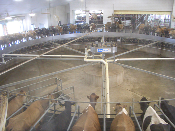 2010年06月　ウィスコンシン州Central Sands Dairy LLSの視察について（前編）